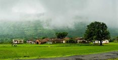 Amboli