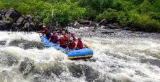 Dandeli