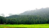 Khajjiar