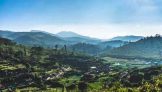 Ooty