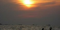 Tarkarli