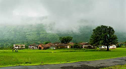 Amboli